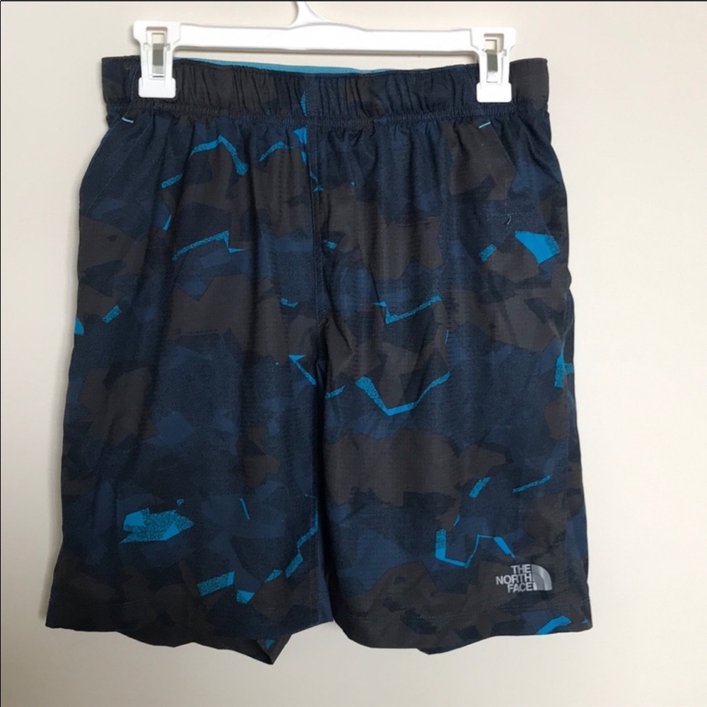 The north face shorts